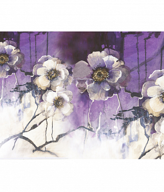 ���� Brewster New Creator 5 CBY095