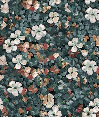 ���� Coordonne Naturae 9500004N