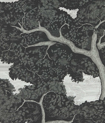 ���� Harlequin Colour 4 113040