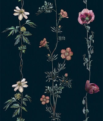 ���� Coordonne Naturae 9500063N