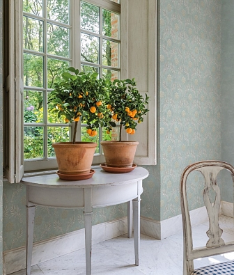 ���� Loymina Tondo Td2 006