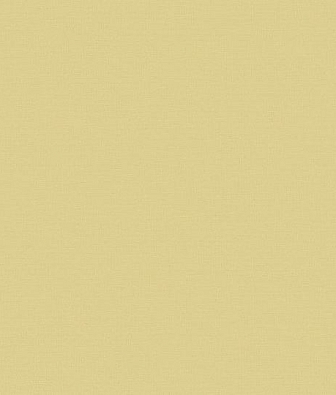 ���� Loymina Equator QTR8 005/3