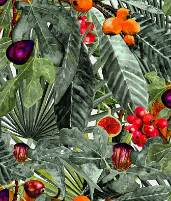 ���� Coordonne Metamorphosis 8800008