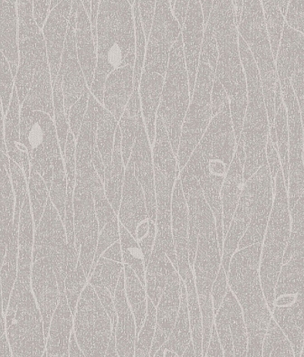 ���� Brewster Evolution 3 BWE03202