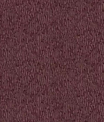  Alessandro Allori Breeze RDT2205-10