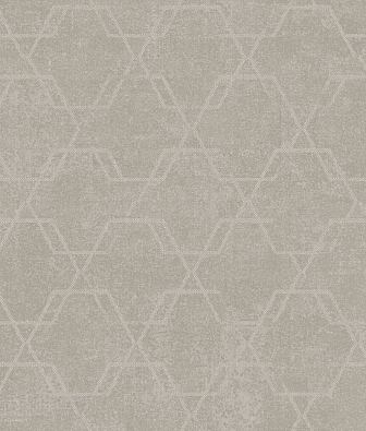 ���� Brewster Evolution 4 BWE04204