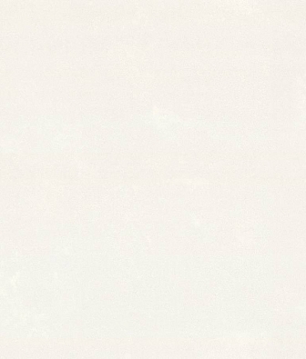 ���� ������ Absolute 2 AR11273-01