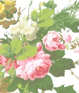 ���� Marburg Museo 46205