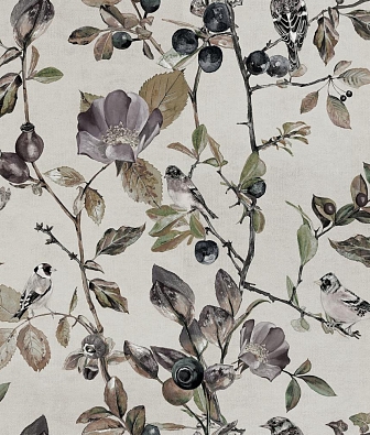 ���� Coordonne Naturae 9500031V