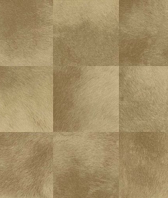  ProSpero Raw Elegance 343-347324