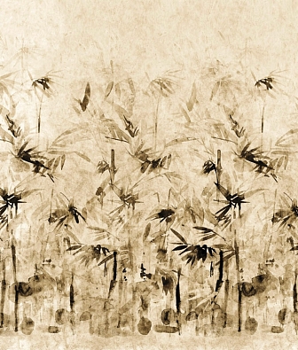 ���� Brewster New Creator 5 CBY045