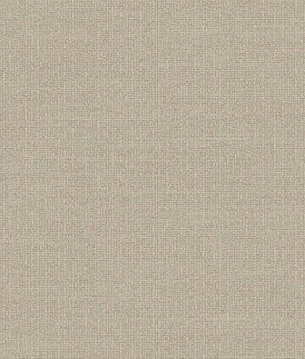 ���� Brewster Evolution 4 BWE04524