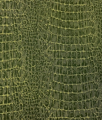  Epoca Wallcoverings Amazon River AR9908