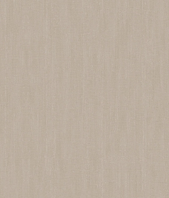 ���� Brewster Evolution 5 BWE05603