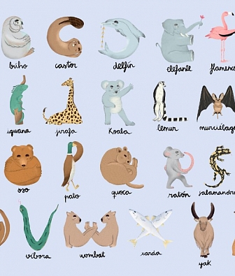 ���� Coordonne Random Kids 9700142