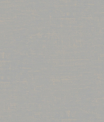 ���� Brewster Evolution 2 BWE02404