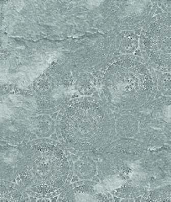 ���� KT-Exclusive Vanilla Lime 014367 Casablanca