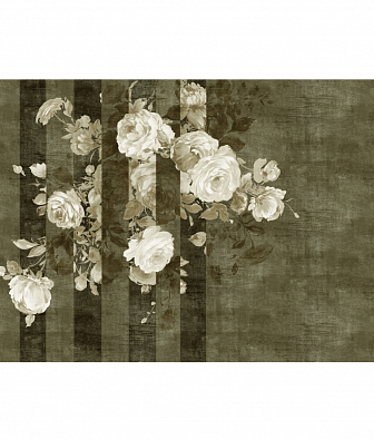 ���� Brewster New Creator 5 CBY096