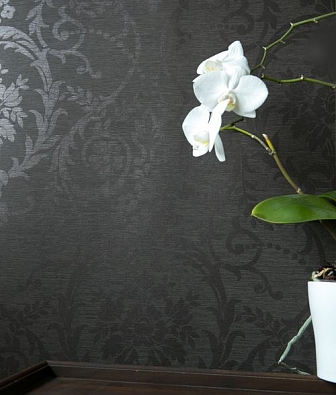 ���� Hohenberger Epic 63556