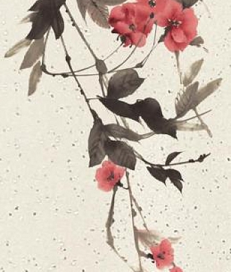 ���� Marburg Crush Motion 63483