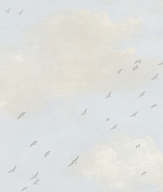 ���� Mayflower  Transition 30807