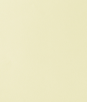 ���� Parati&Parati Uno FN26021