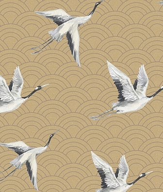 ���� KT-Exclusive Discovery DYW0013