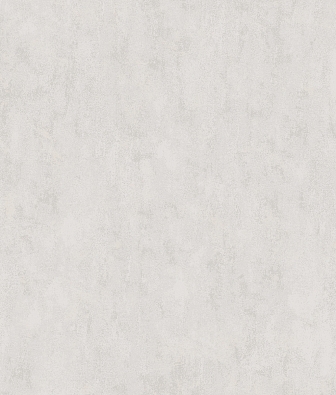 ���� Brewster Evolution 7 BWE071919