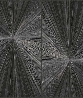 ���� Wall & deco 2016 WDFL1602