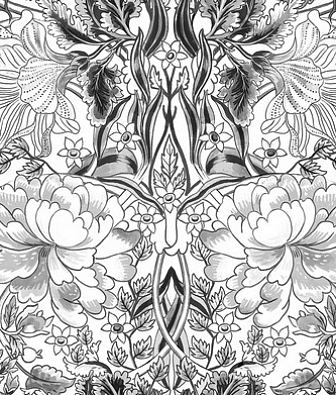 ���� Coordonne Metamorphosis 8800013