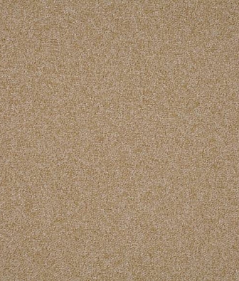 Scion Plains Ten 131822