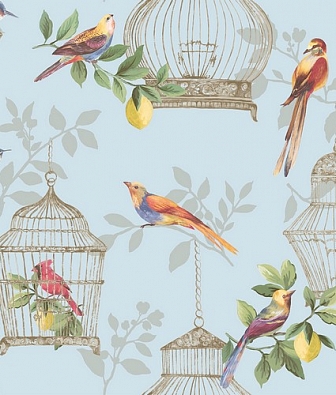 ���� Jaima Brown Anthology Resource DB11902