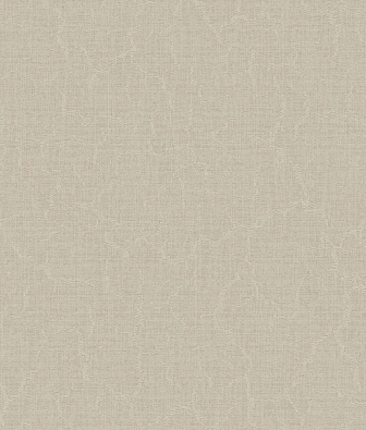 ���� Brewster Evolution 4 BWE04513