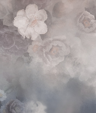 ���� Brewster New Creator 5 CBH05011