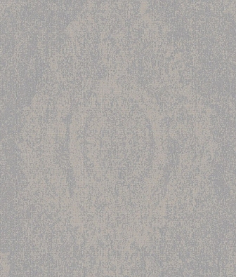 ���� Brewster Evolution 2 BWE02206