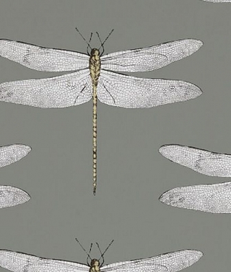 ���� Harlequin Palmetto 111242