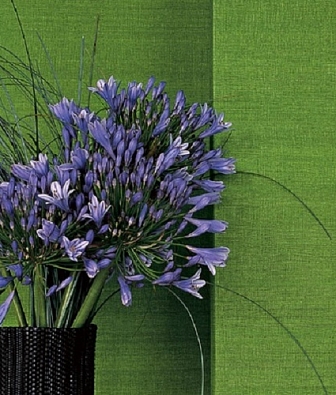 ���� Elitis Soie VP 620 55