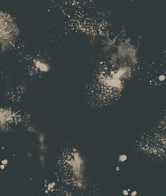 ���� Mayflower  Solaris FJ000103