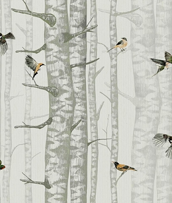 ���� Coordonne Naturae 9500042V