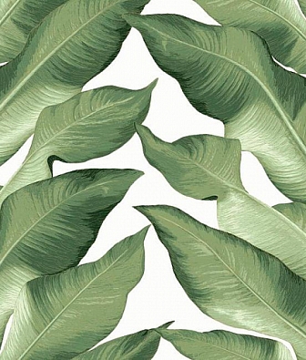 ���� York Modern Heritage NV5541