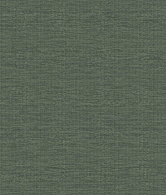 ���� Brewster Evolution 2 BWE02401