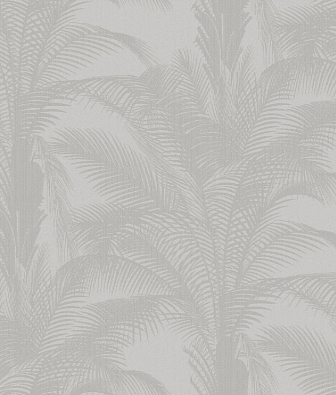 ���� Brewster Evolution 3 BWE03303