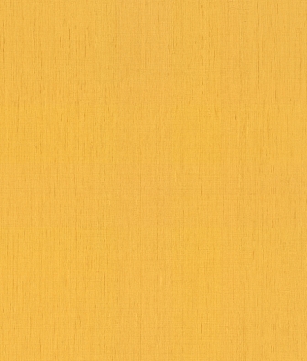  Rasch Indian Style 746082