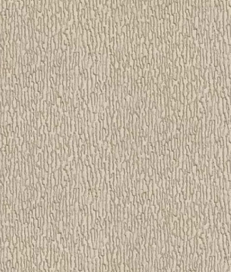  Alessandro Allori Breeze RDT2205-3