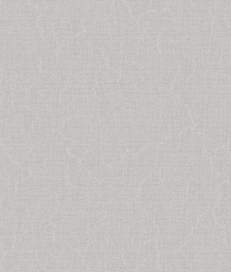 ���� Brewster Evolution 4 BWE04506