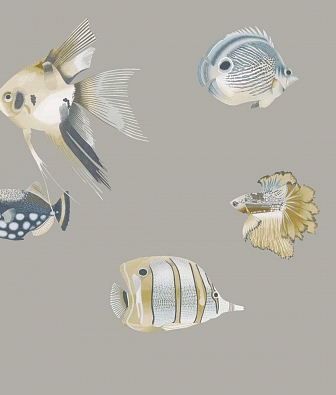 ���� Harlequin Idyllic 111646