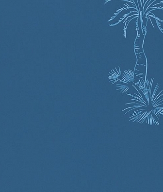 ���� Paint & Paper Library Tresco 0393LPBLUEP