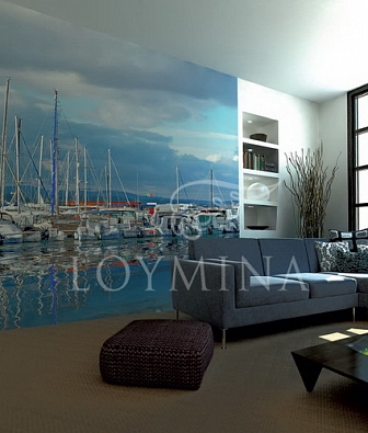  Loymina Illusion DSE 005