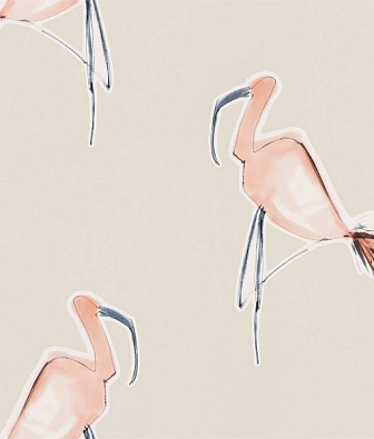 ���� Scion Zanzibar 111998