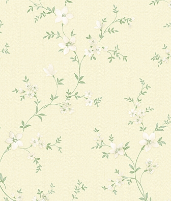  Alessandro Allori Bruni 1001-7